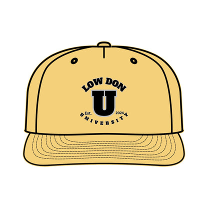 Low Don U Screwniversity Surf Cap