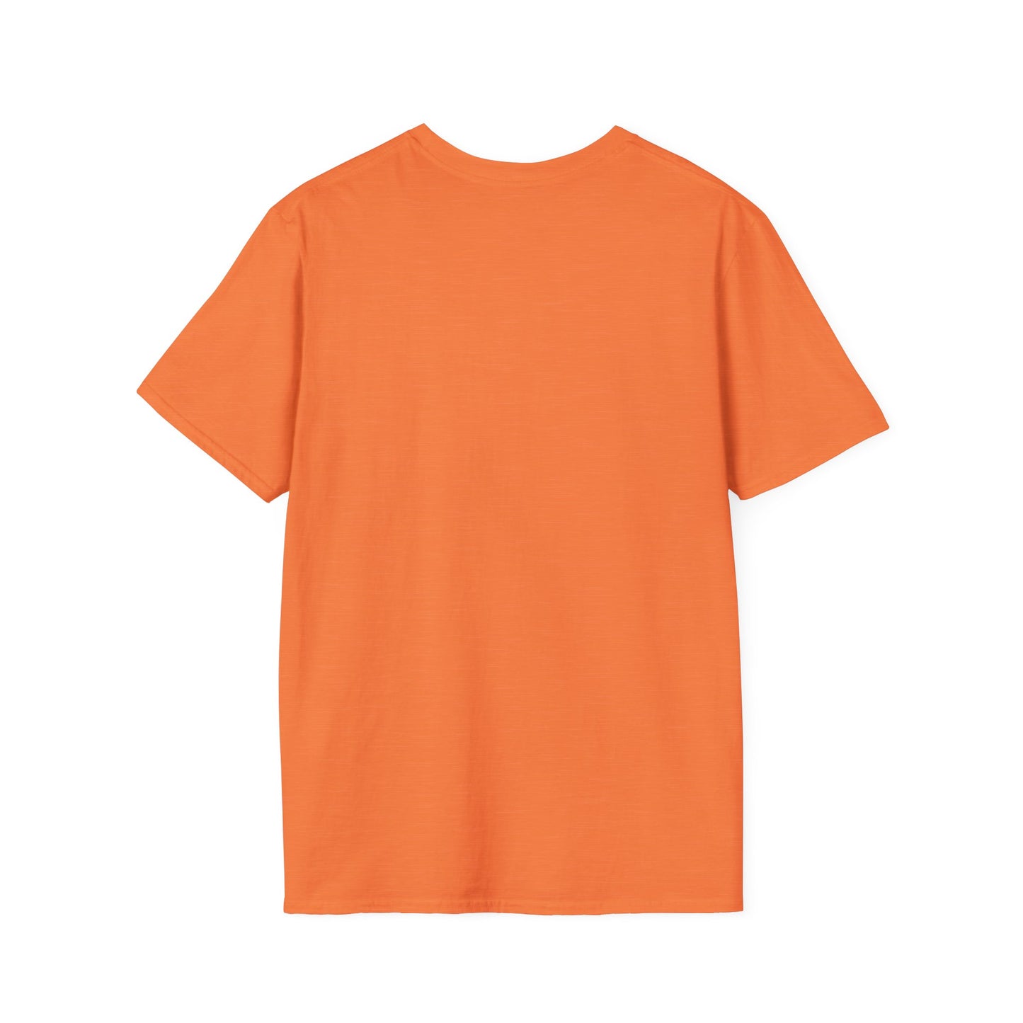 DP113 Unisex Softstyle T-Shirt