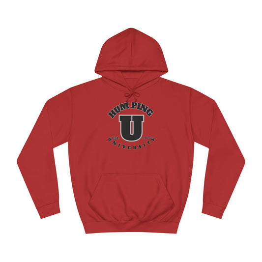 SU267 Unisex College Hoodie